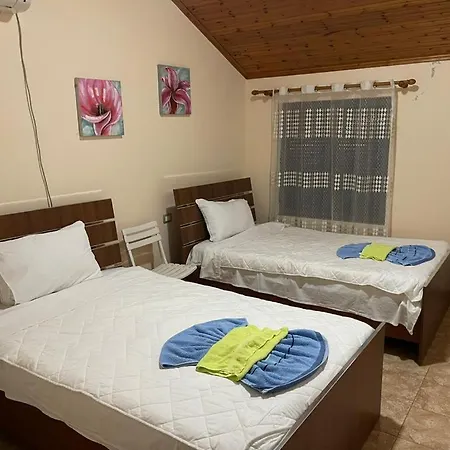 Amin Triple Séjour chez l'habitant *